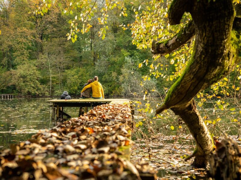Herfst in de Platzs Altrhein Jockgrimm
