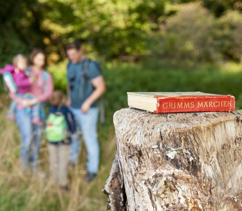 Een familie loopt door het bos. Op de voorgrond ligt een boek met de sprookjes van Grimm op een boomstronk.