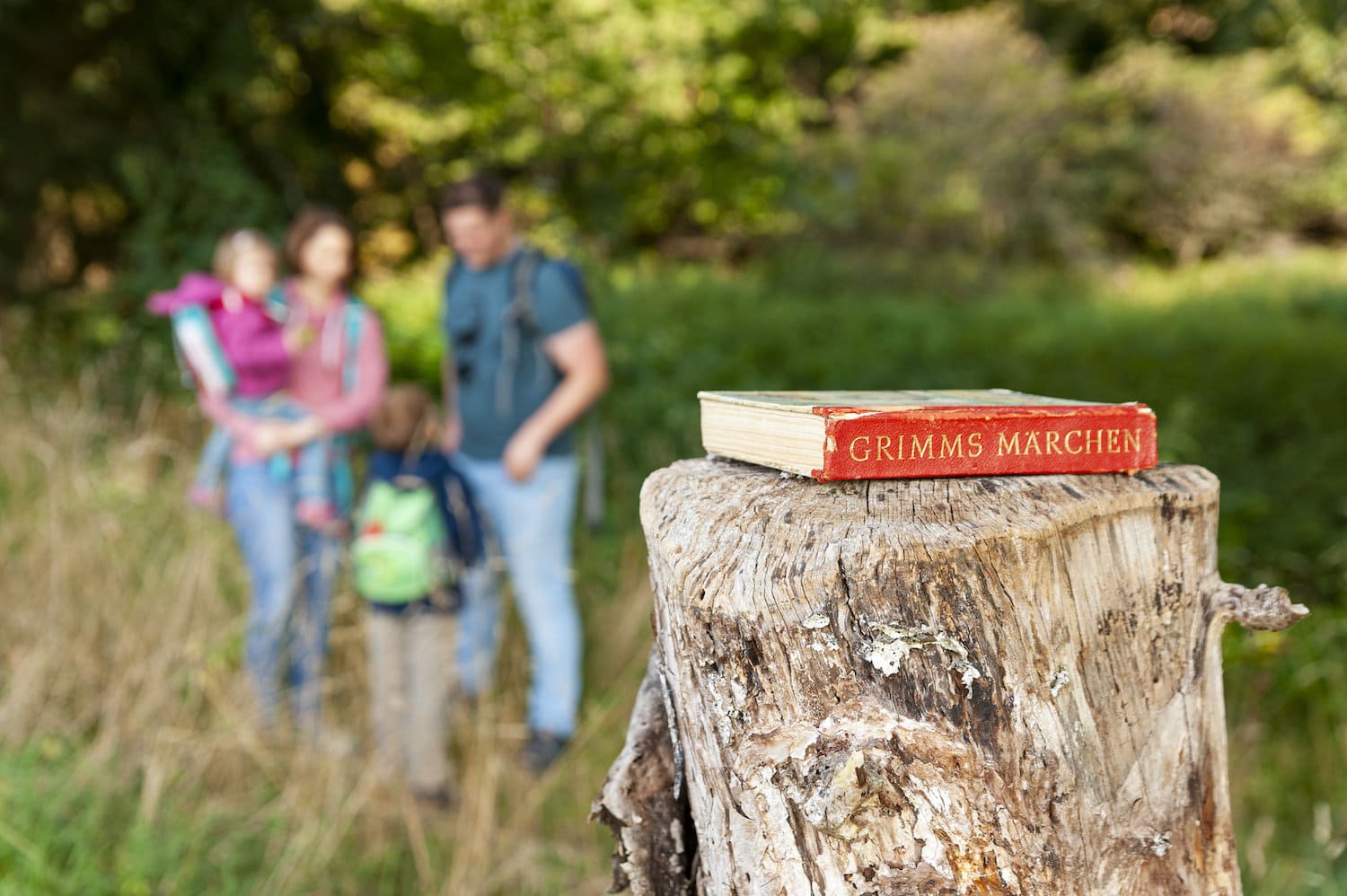 Een familie loopt door het bos. Op de voorgrond ligt een boek met de sprookjes van Grimm op een boomstronk.