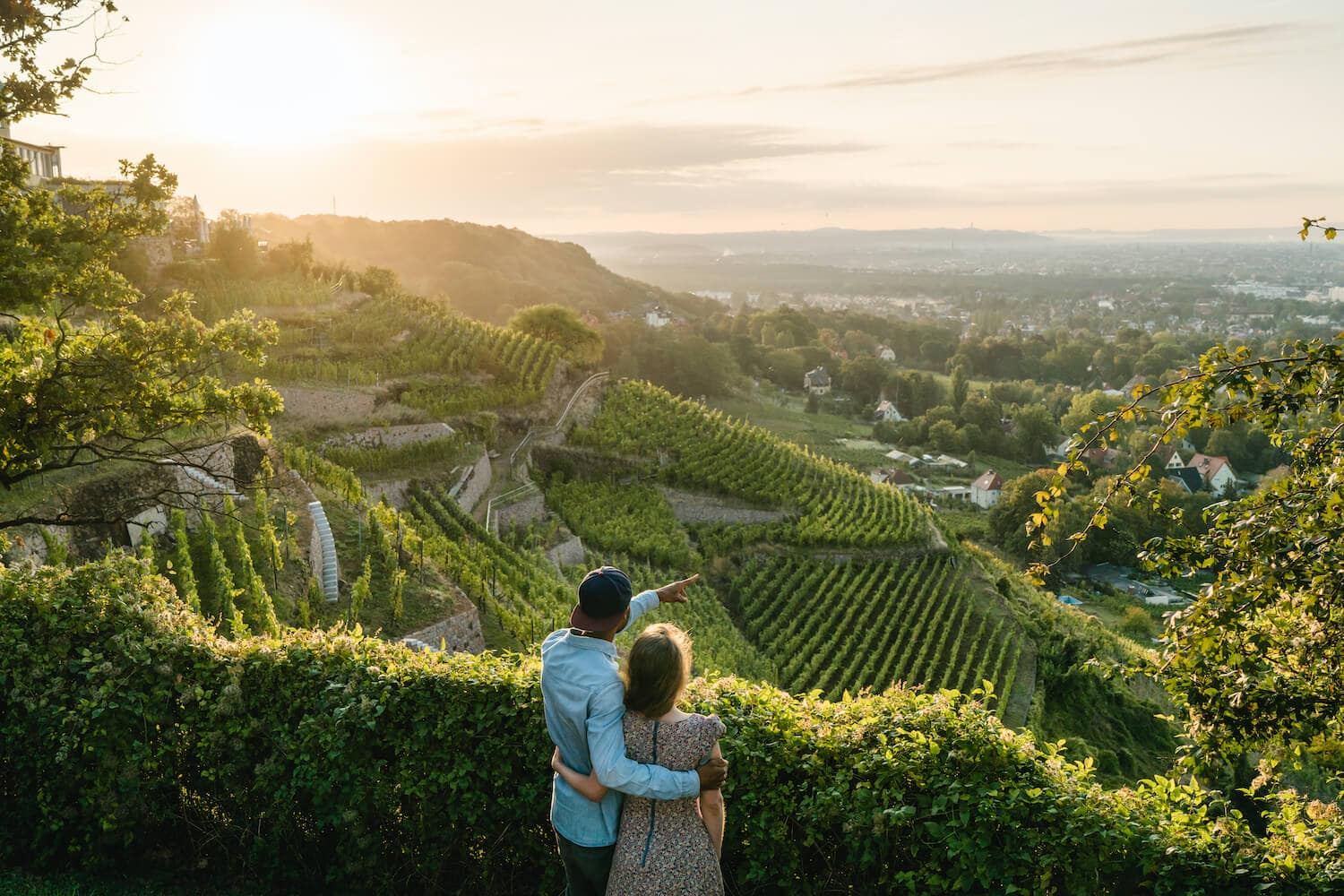 Uitzicht over wijngaarden Radebeul