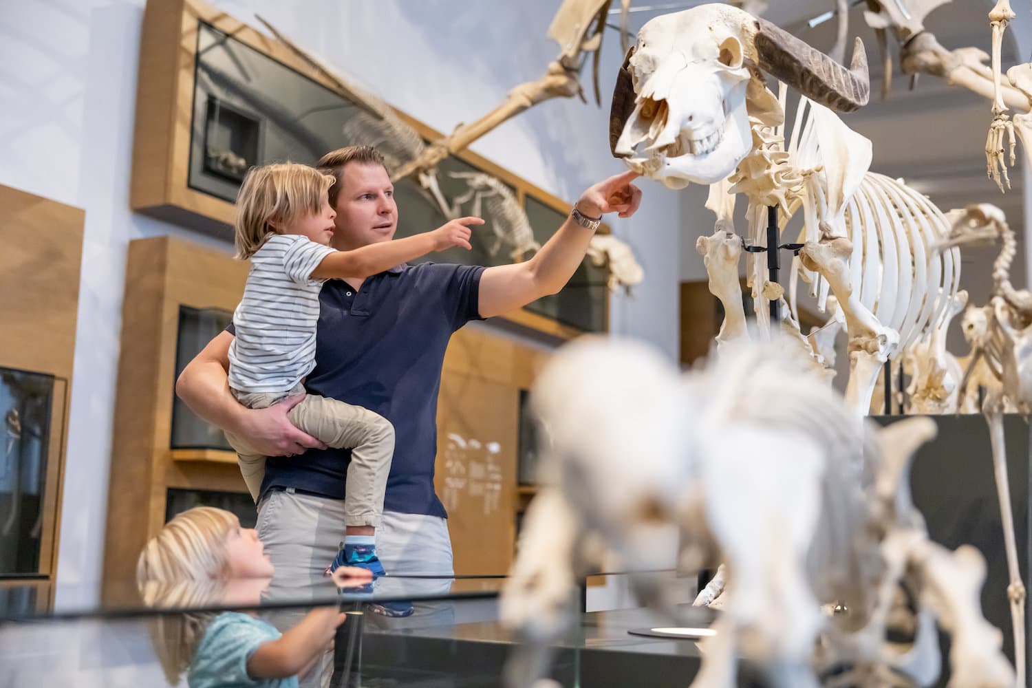 Persoon heeft een kind in zijn armen in het Hessische Staatsmuseum in Darmstadt en beiden wijzen naar een dierlijk skelet. Een ander kind staat op de grond en kijkt verbaasd omhoog.