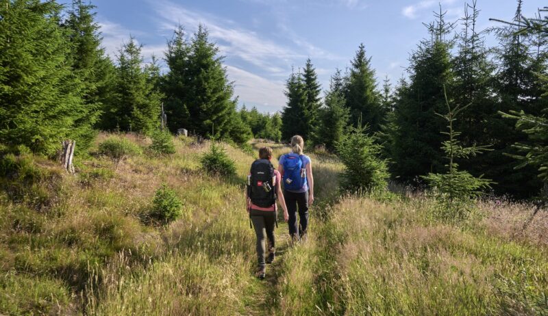 Twee mensen wandelen op het Zinser Grenzpfad in Siegen-Wittgenstein in Duitsland.