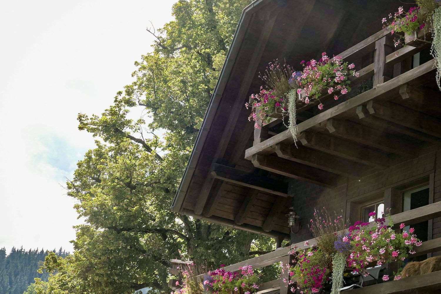 Houten huis met balkons begroeid met roze bloemen op de boerderij Ospele in het Zwarte Woud