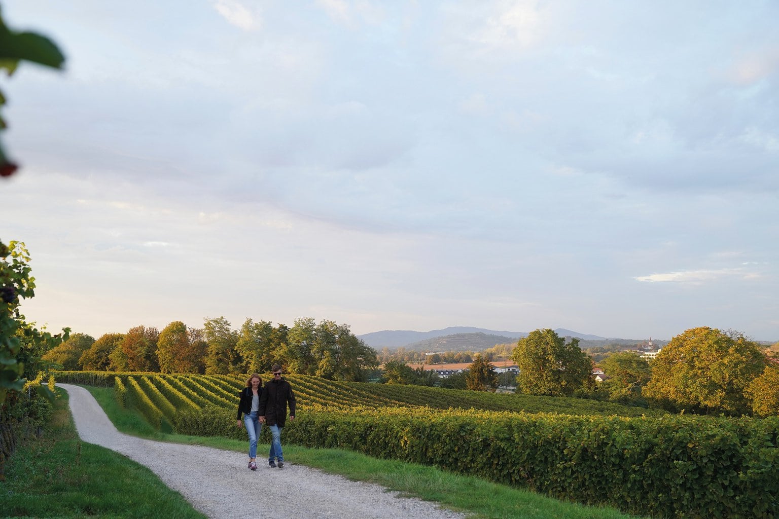 Twee mensen wandelen in Bad Krotzingen in het Zwarte Woud