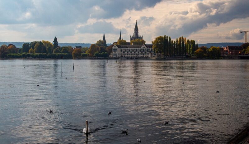 Eenden zwemmen over het Bodenmeer voor het prachtige stadsgezicht van Konstanz