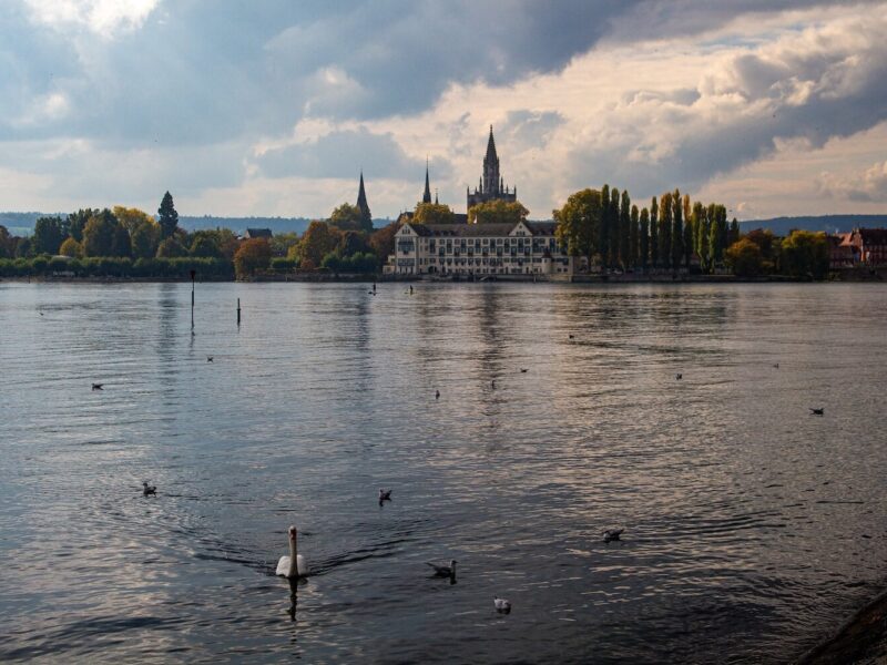 Eenden zwemmen over het Bodenmeer voor het prachtige stadsgezicht van Konstanz