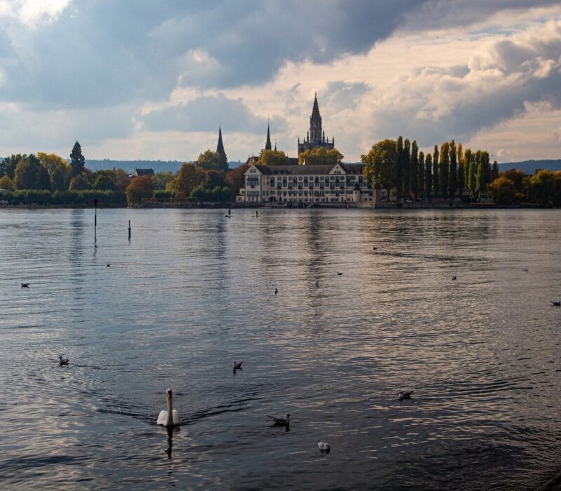 Eenden zwemmen over het Bodenmeer voor het prachtige stadsgezicht van Konstanz