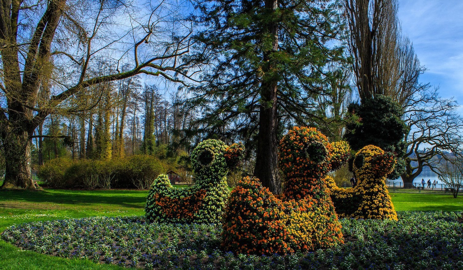 Heggen met bloemen in de vorm van eenden in Konstanz, Duitsland