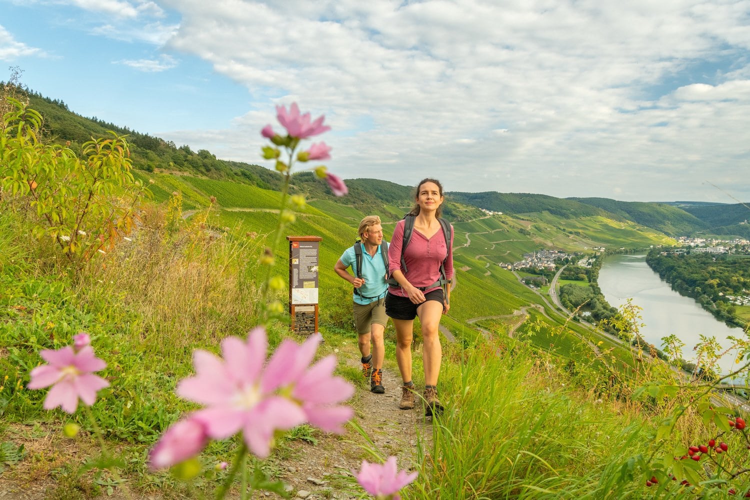 Wandelen op de Moselsteig