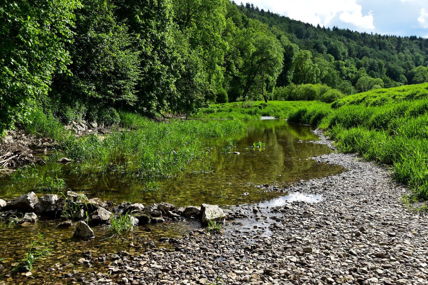 Donauversinkung op het wandelenweg Donauwelle naar Immendingen, Baden-Württemberg, Deutschland