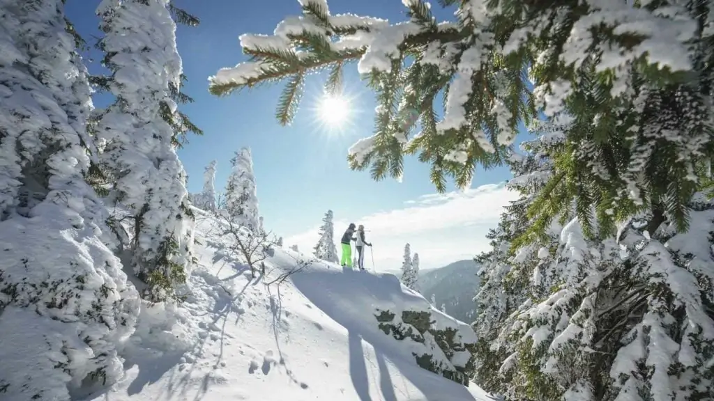 Twee mensen op sneeuwschoenen in het familieskigebied Großer Arber in het Beierse Woud in Duitsland