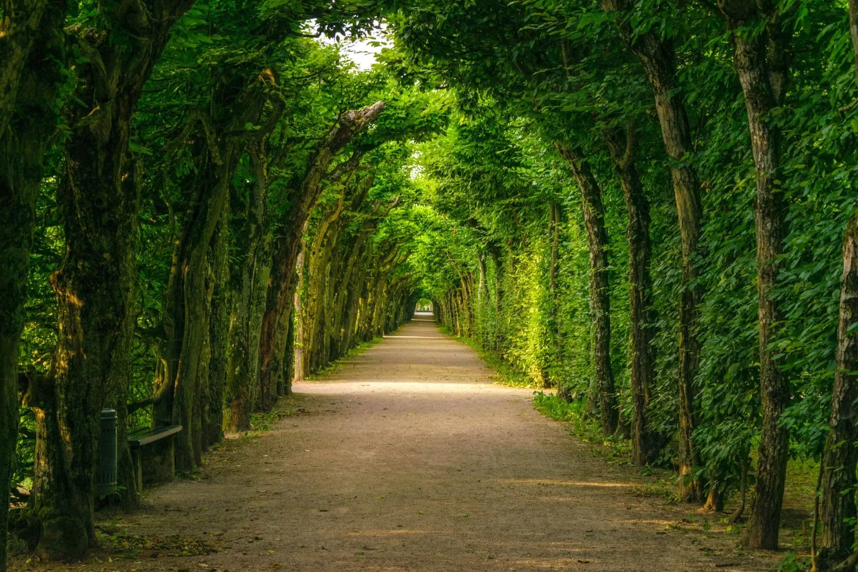 Hermitage Green Arcade in Bayreuth, Beieren, Duitsland