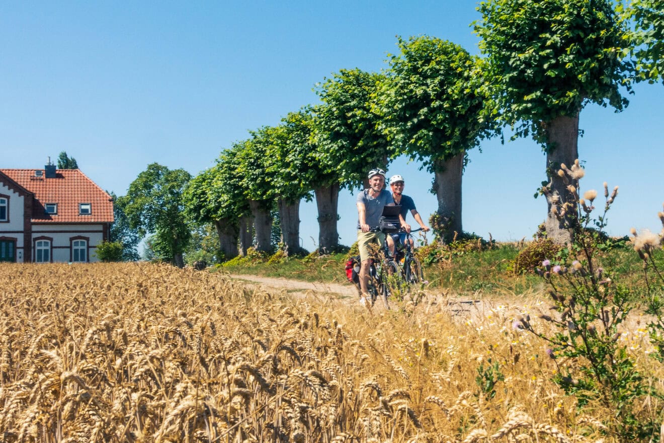 Van Boltenhagen Naar Wismar Een Tocht Langs De Oostzeekust fietsroute van-boltenhagen-naar-wismar-een-tocht-langs-de-oostzeekust-fietsroute