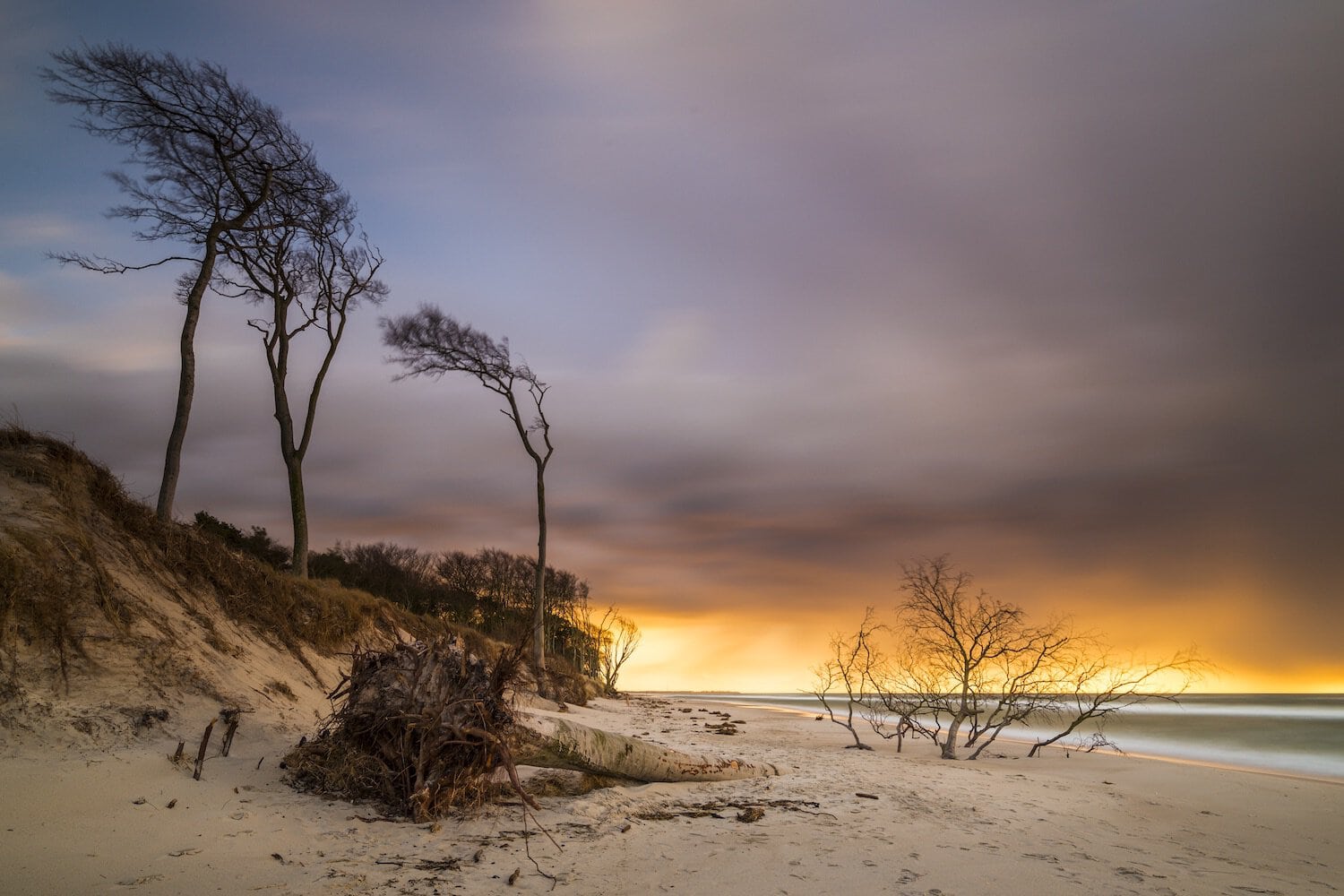 Van dit licht in Fischland-Darß-Zingst moet je gewoon houden! I Foto: TMV/Harms