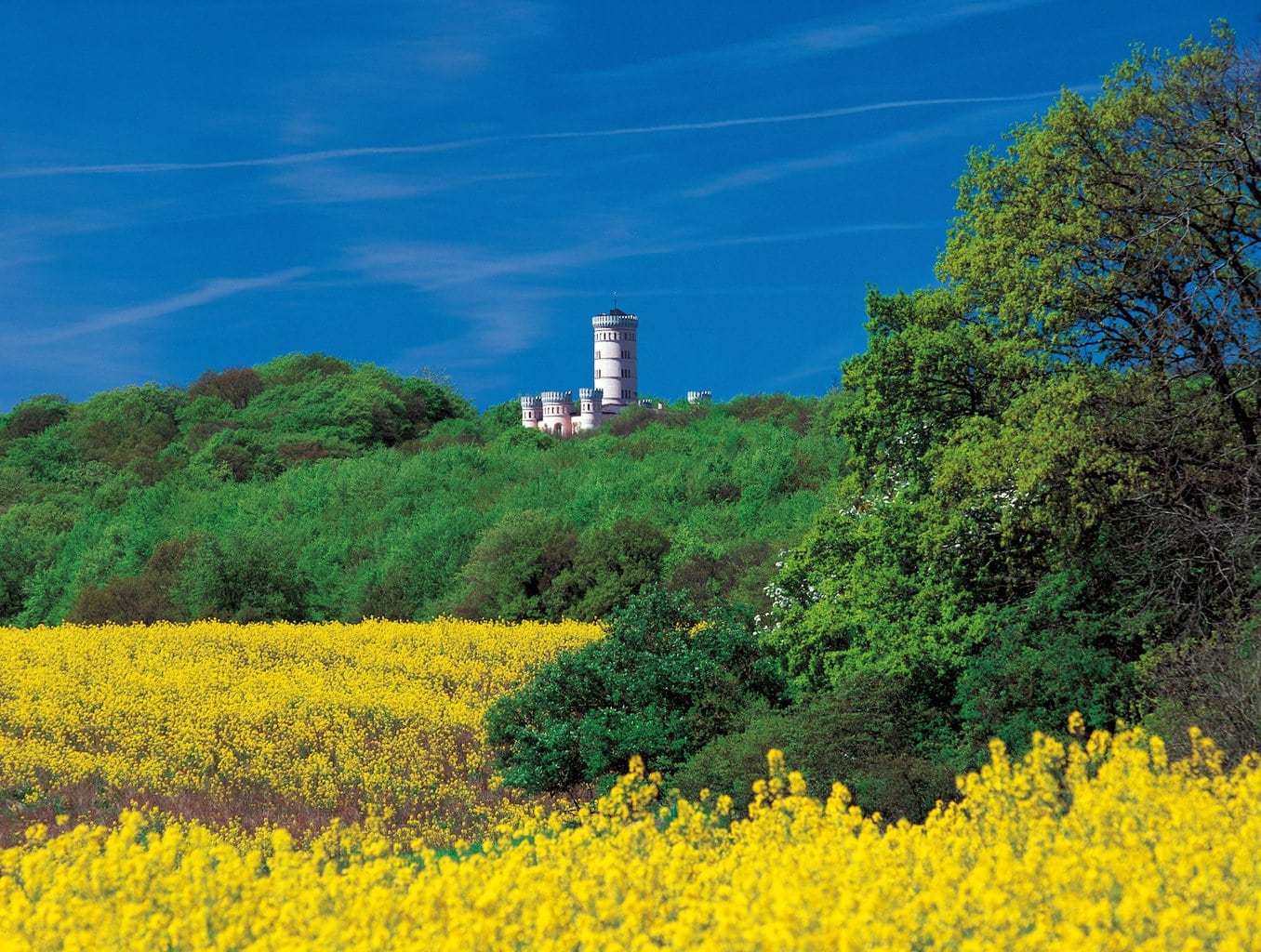 Velden en het Jachtslot Granitz op de achtergrond, een perfecte plek om te wandelen op de eiland Rügen in Mecklenburg-Voor-Pommeren, Duitsland