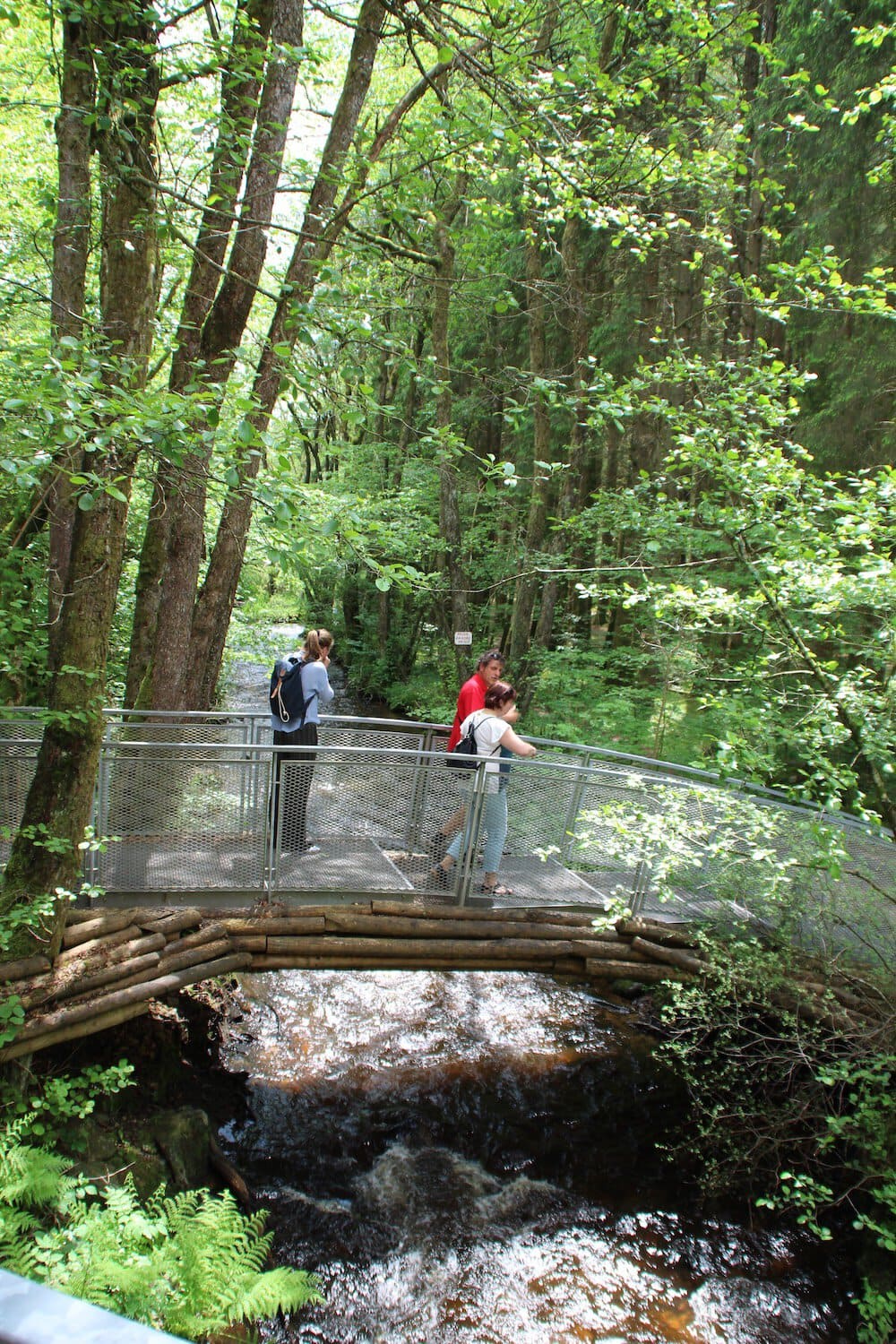 Brug in het natuur van het Insel Hombroich in Noordrijn-Westfalen, Duitsland