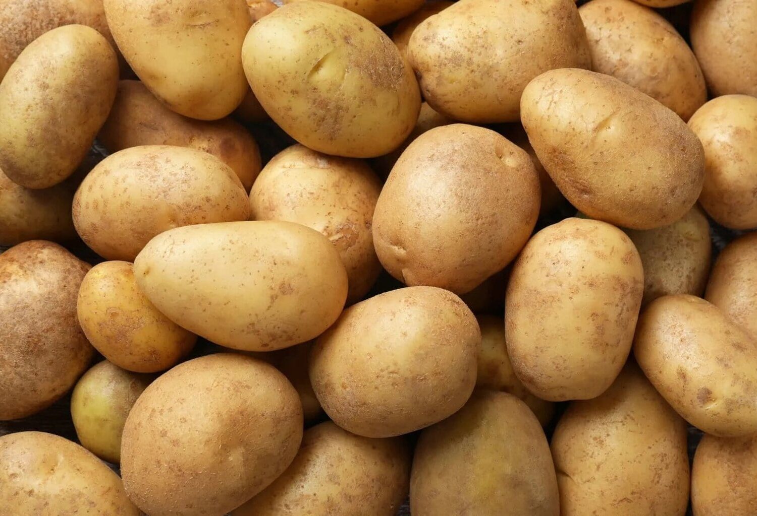 Veel ongekookte aardappelen, Duitsland.