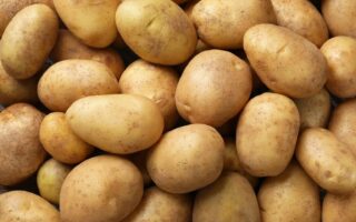 Veel ongekookte aardappelen, Duitsland.