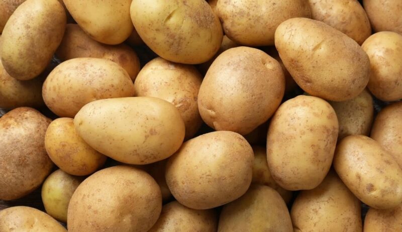 Veel ongekookte aardappelen, Duitsland.