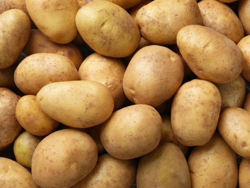 Veel ongekookte aardappelen, Duitsland.