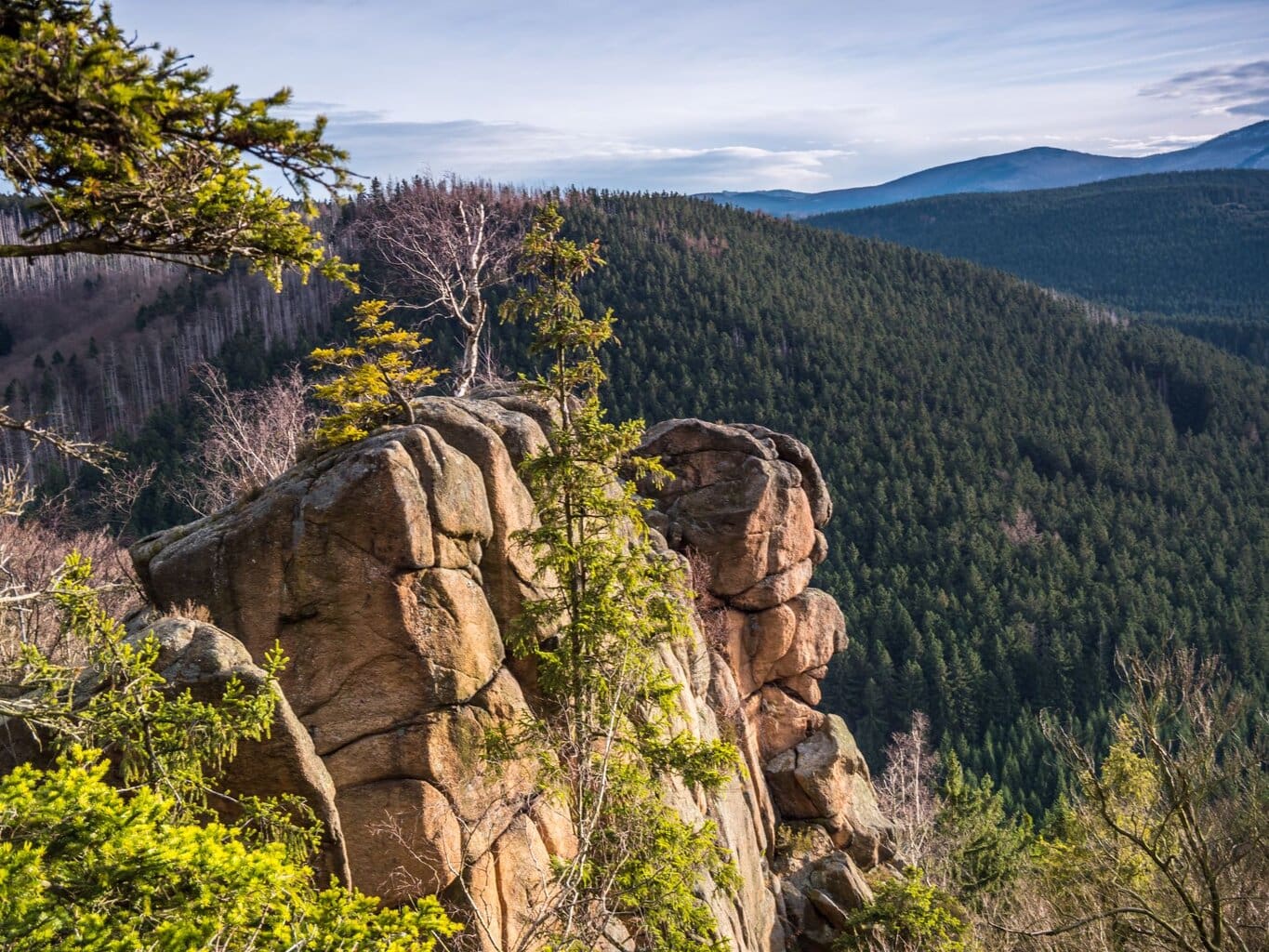 Rotsformaties en uitgestrekte dennenbossen in Nationaalpark Harz, een van de mooiste plekken voor Waldbäder in Duitsland – waar de natuur je zintuigen tot rust brengt.