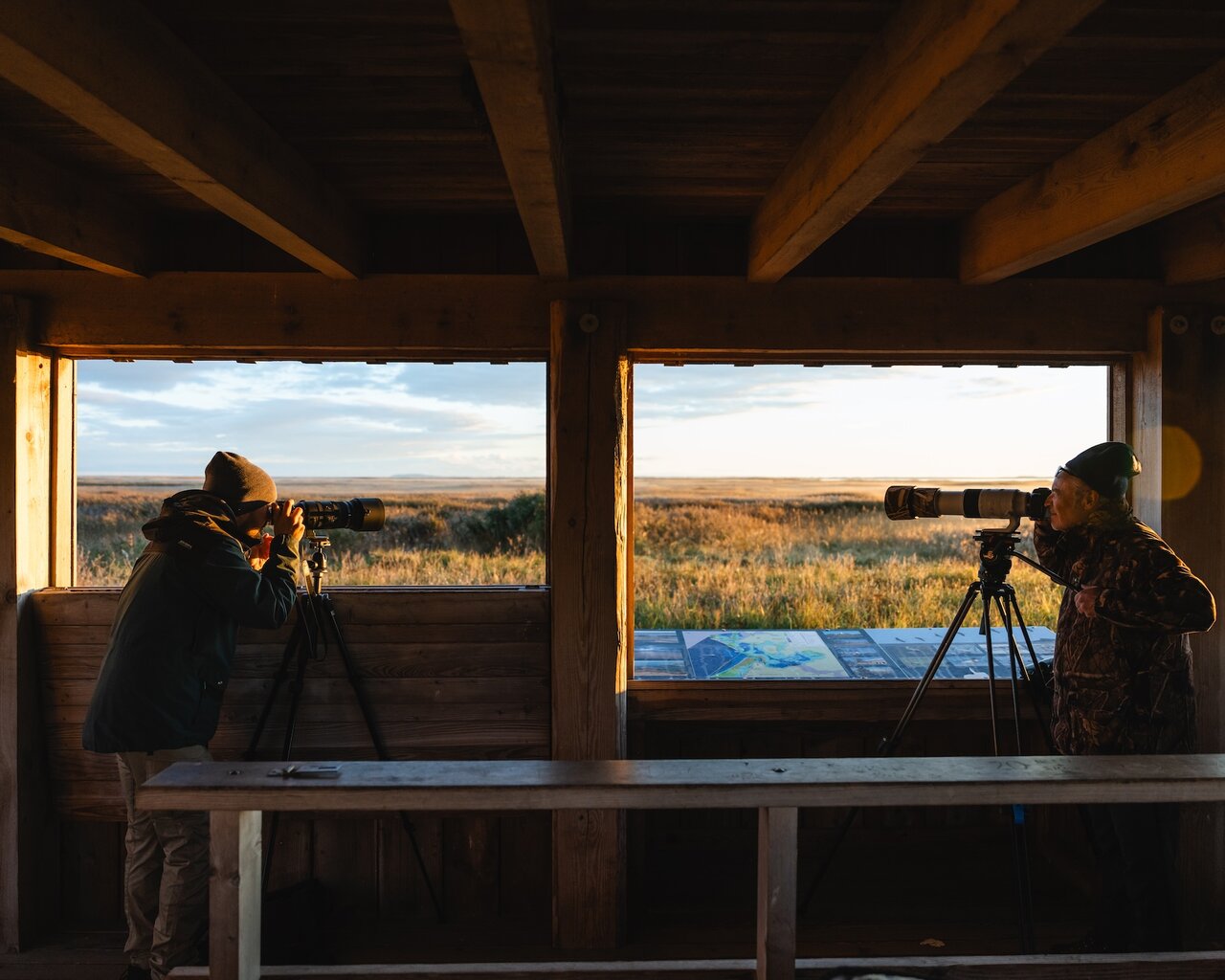 Natuurfotografie bij zonsopgang in het nationaal park Vorpommersche Boddenlandschaft in Fischland-Darß-Zingst, Mecklenburg-Vorpommern, Duitsland