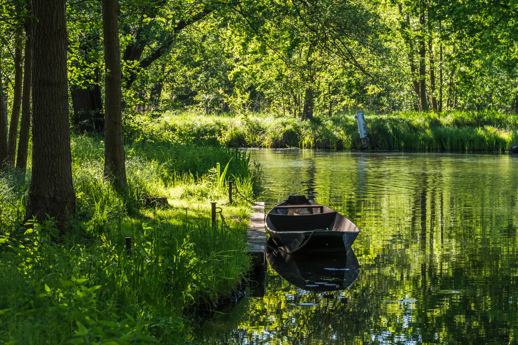 Een stille houten boot aan de oever van een beboste stroom in het Spreewald – een betoverende plek voor Waldbäder in Duitsland en diepe ontspanning in de natuur.