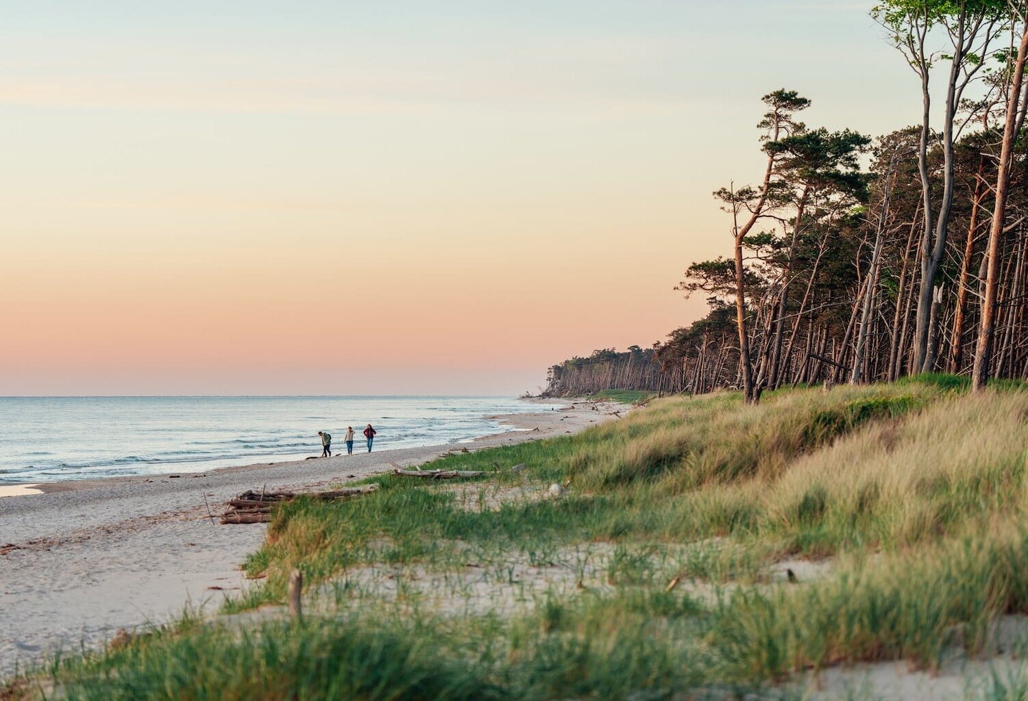 Wandelen en ontspannen bij zonsondergang op het westelijke strand van de Darß in Fischland-Darß-Zingst, Mecklenburg-Vorpommern, Duitsland