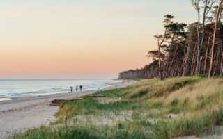 Wandelen en ontspannen bij zonsondergang op het westelijke strand van de Darß in Fischland-Darß-Zingst, Mecklenburg-Vorpommern, Duitsland