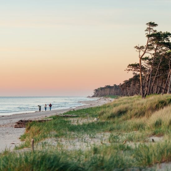 Wandelen en ontspannen bij zonsondergang op het westelijke strand van de Darß in Fischland-Darß-Zingst, Mecklenburg-Vorpommern, Duitsland