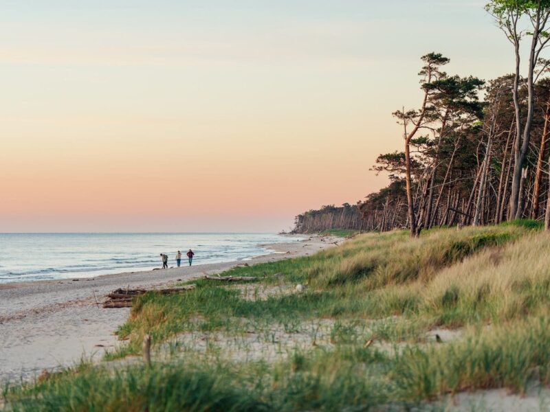 Wandelen en ontspannen bij zonsondergang op het westelijke strand van de Darß in Fischland-Darß-Zingst, Mecklenburg-Vorpommern, Duitsland