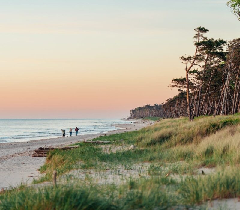 Wandelen en ontspannen bij zonsondergang op het westelijke strand van de Darß in Fischland-Darß-Zingst, Mecklenburg-Vorpommern, Duitsland