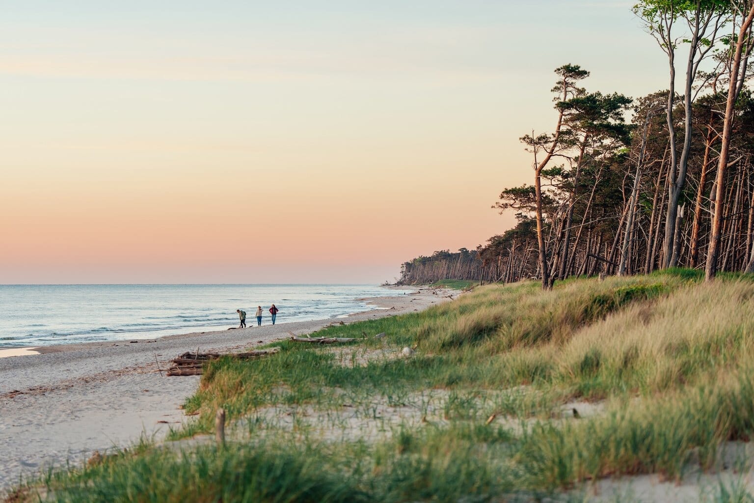 Wandelen en ontspannen bij zonsondergang op het westelijke strand van de Darß in Fischland-Darß-Zingst, Mecklenburg-Vorpommern, Duitsland