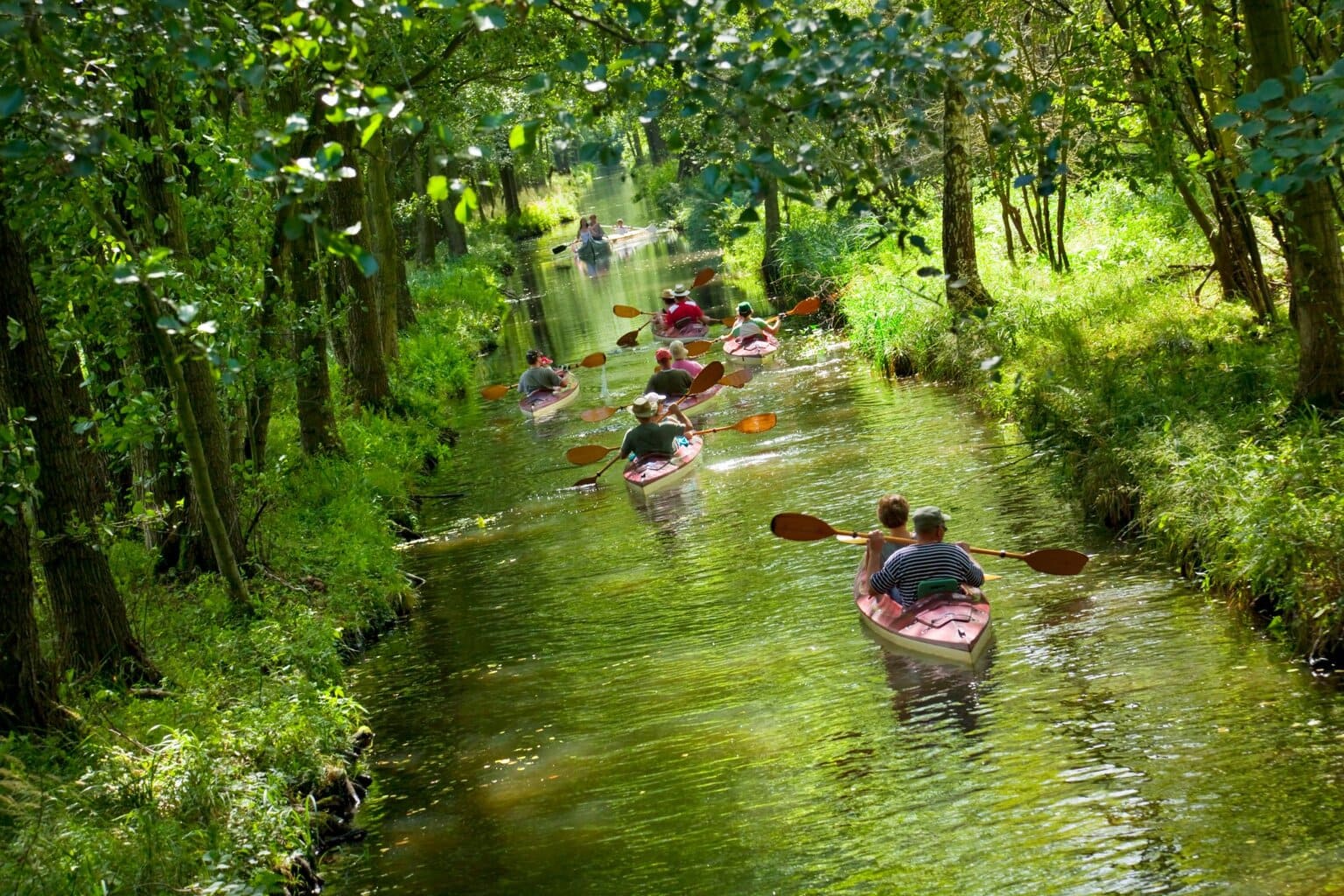 Een groep kanoërs peddelt door de smalle waterwegen van het Spreewald in Brandenburg – een betoverend decor voor ontspannen kanotochten Duitsland.