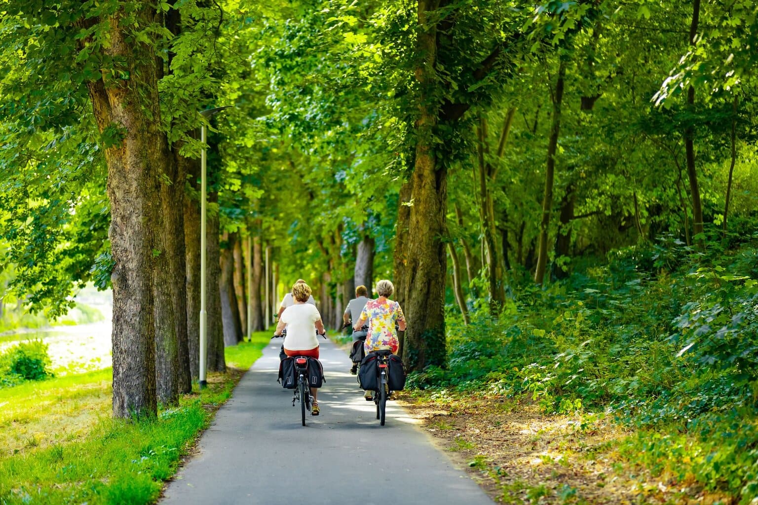 Fietsers genieten van een ontspannen tocht over de Ahr-Radweg in het Ahrdal. Het pad slingert door groene bossen en langs statige bomenrijen, ideaal om de natuur van het Ahrdal op een rustige manier te verkennen.