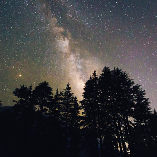 Sterrenhemel boven donkere dennen in het zuiden night, met de Melkweg die helder straalt en een magische sfeer van rust en natuur oproept.