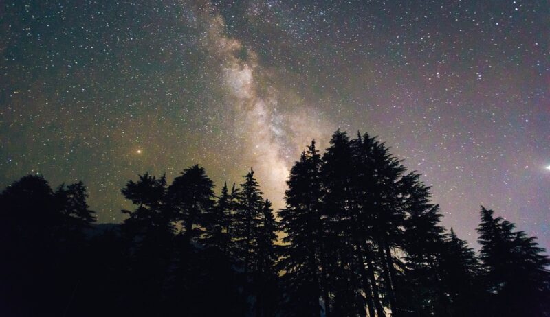 Sterrenhemel boven donkere dennen in het zuiden night, met de Melkweg die helder straalt en een magische sfeer van rust en natuur oproept.