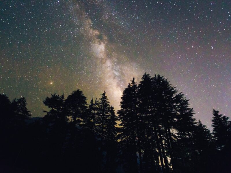 Sterrenhemel boven donkere dennen in het zuiden night, met de Melkweg die helder straalt en een magische sfeer van rust en natuur oproept.