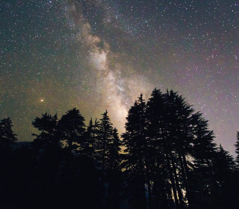 Sterrenhemel boven donkere dennen in het zuiden night, met de Melkweg die helder straalt en een magische sfeer van rust en natuur oproept.