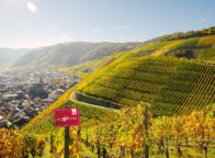 Uitzicht over de steile wijngaarden bij Ahrweiler in het Ahrdal. De kleurrijke wijnhellingen en het schilderachtige stadje in de vallei tonen waarom het Ahrdal bekendstaat als een van de mooiste wijnregio’s van Duitsland.