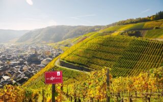 Uitzicht over de steile wijngaarden bij Ahrweiler in het Ahrdal. De kleurrijke wijnhellingen en het schilderachtige stadje in de vallei tonen waarom het Ahrdal bekendstaat als een van de mooiste wijnregio’s van Duitsland.