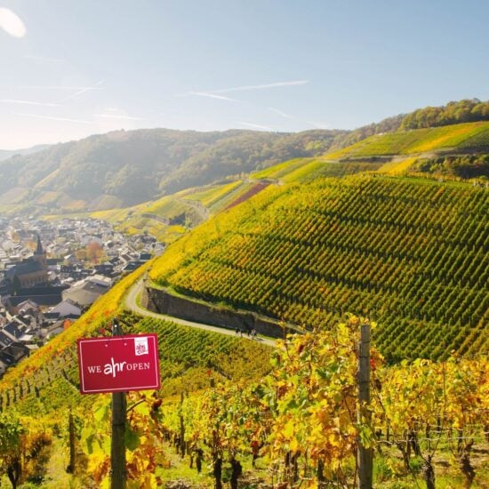 Uitzicht over de steile wijngaarden bij Ahrweiler in het Ahrdal. De kleurrijke wijnhellingen en het schilderachtige stadje in de vallei tonen waarom het Ahrdal bekendstaat als een van de mooiste wijnregio’s van Duitsland.