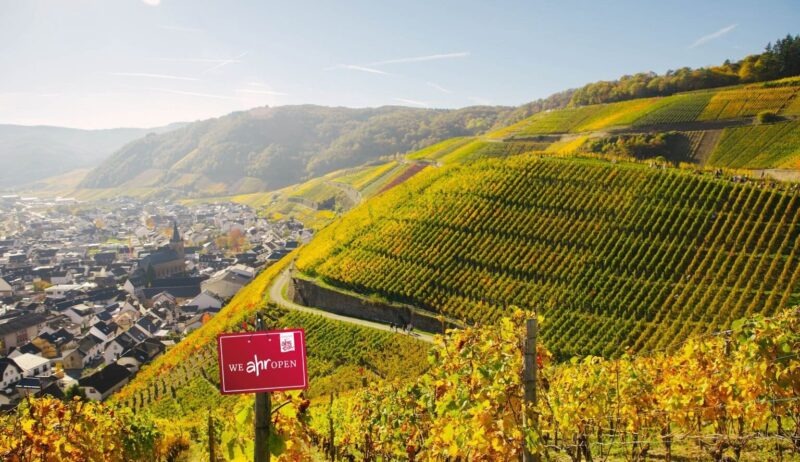 Uitzicht over de steile wijngaarden bij Ahrweiler in het Ahrdal. De kleurrijke wijnhellingen en het schilderachtige stadje in de vallei tonen waarom het Ahrdal bekendstaat als een van de mooiste wijnregio’s van Duitsland.