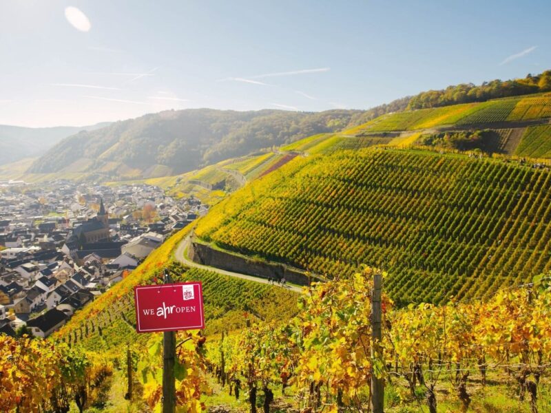 Uitzicht over de steile wijngaarden bij Ahrweiler in het Ahrdal. De kleurrijke wijnhellingen en het schilderachtige stadje in de vallei tonen waarom het Ahrdal bekendstaat als een van de mooiste wijnregio’s van Duitsland.