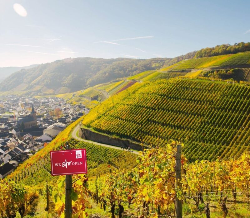 Uitzicht over de steile wijngaarden bij Ahrweiler in het Ahrdal. De kleurrijke wijnhellingen en het schilderachtige stadje in de vallei tonen waarom het Ahrdal bekendstaat als een van de mooiste wijnregio’s van Duitsland.