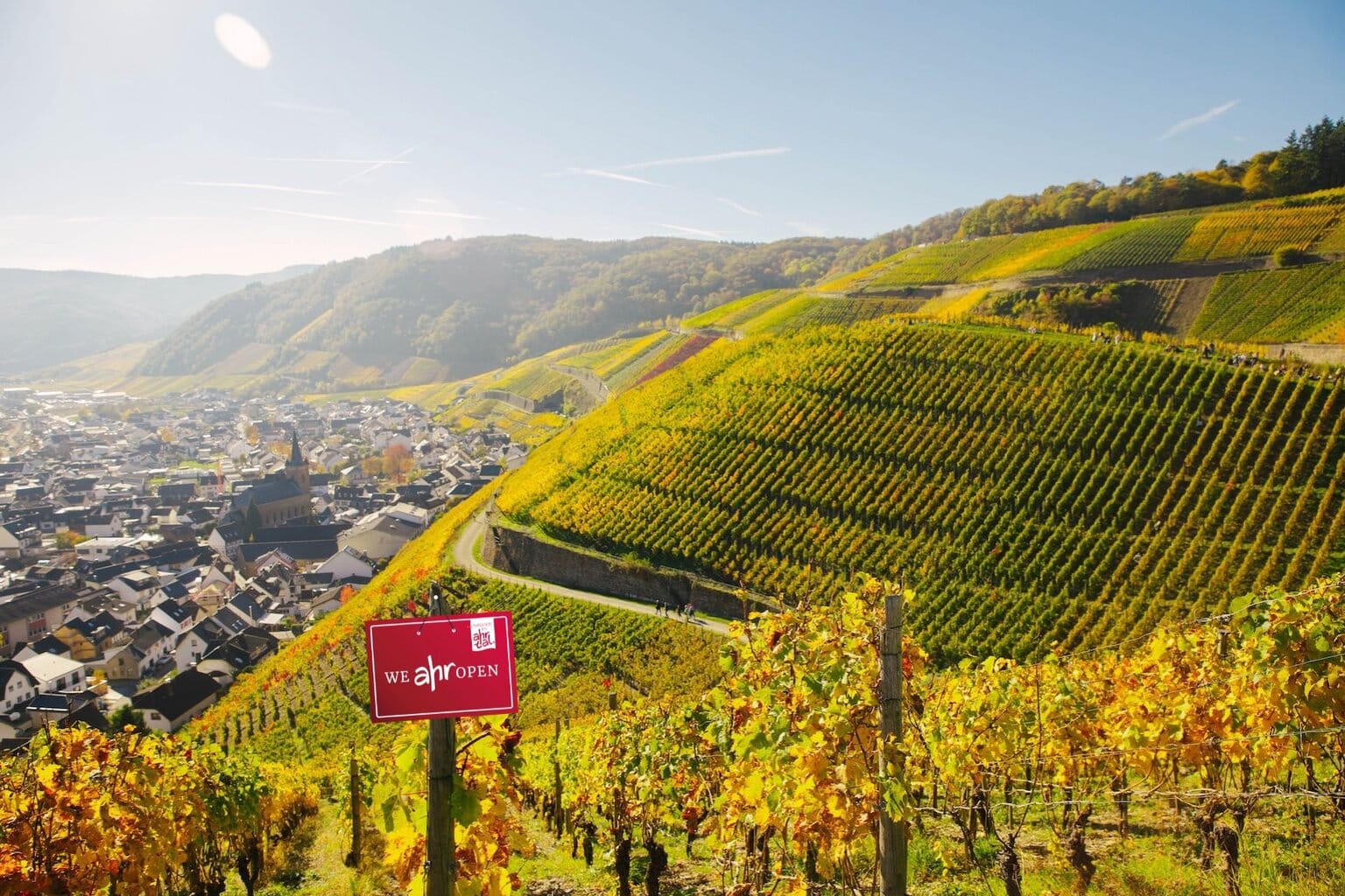 Uitzicht over de steile wijngaarden bij Ahrweiler in het Ahrdal. De kleurrijke wijnhellingen en het schilderachtige stadje in de vallei tonen waarom het Ahrdal bekendstaat als een van de mooiste wijnregio’s van Duitsland.