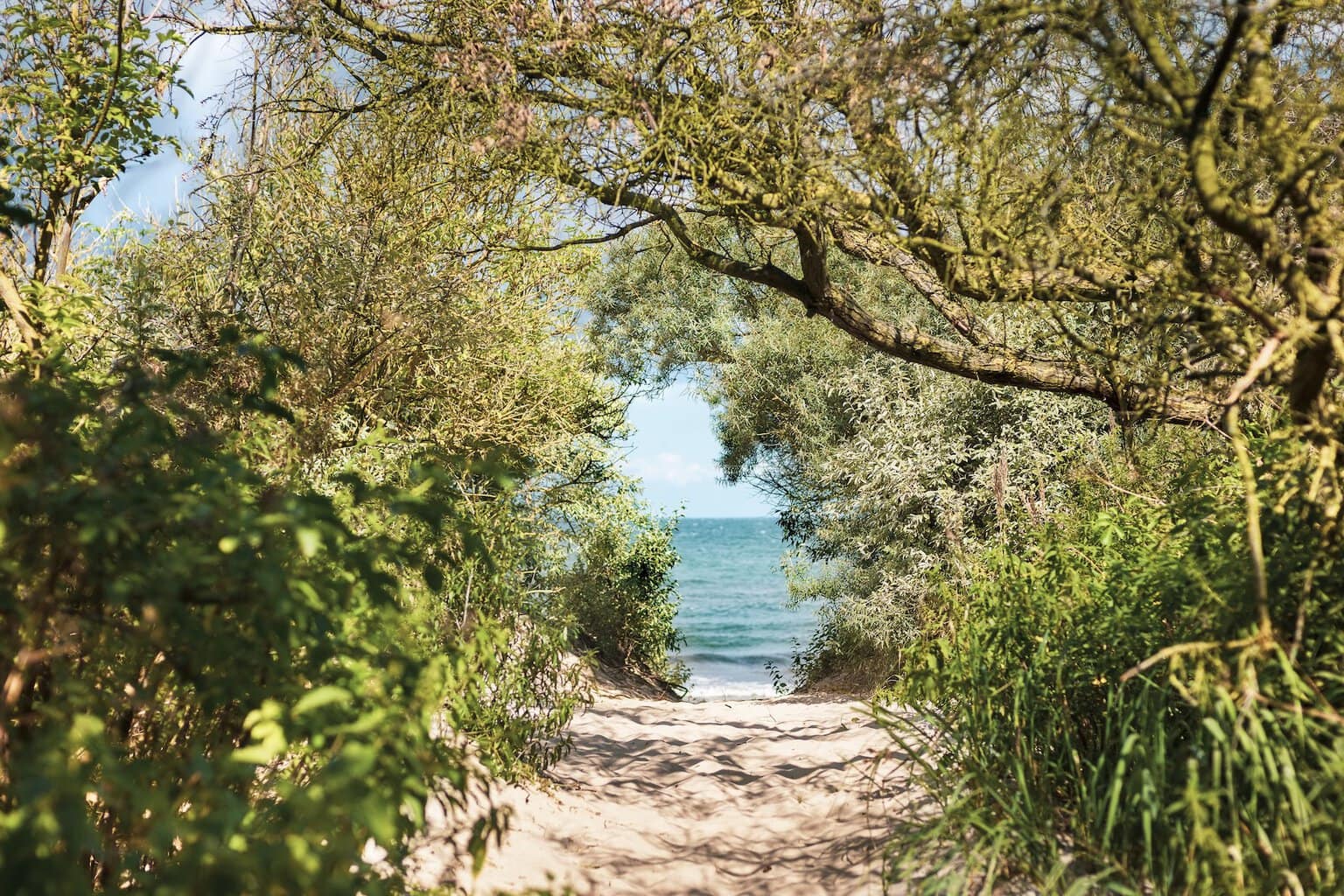 Zandpad tussen struiken en bomen dat naar het strand en de Oostzee bij Graal-Müritz leidt.