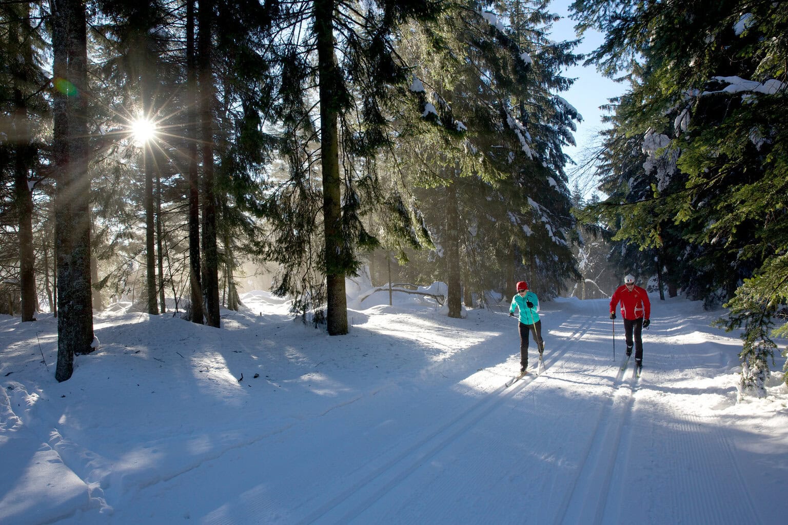 Twee langlaufers glijden door een zonovergoten sparrenbos, waar stilte, licht en beweging samen het pure Sneeuwplezier Zwarte Woud vormen.