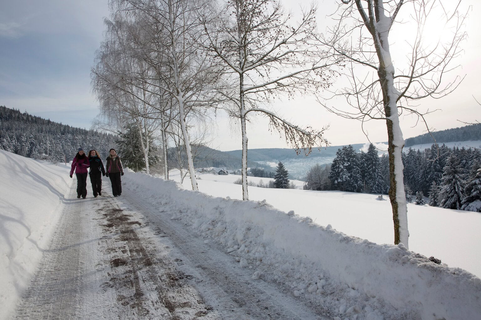 Drie wandelaars volgen een wit besneeuwd pad langs stille bomen en heuvels, waar winterzon en ademwolkjes het zachte Sneeuwplezier Zwarte Woud tekenen.