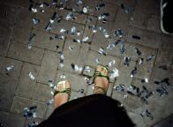 Glinsterend confetti op straat na een Stuttgart party, waar dansende voeten in groene sandalen herinneren aan de nacht vol ritme en vrijheid.